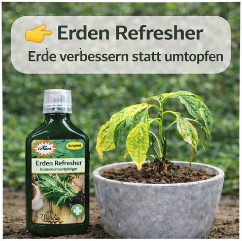 Erden refresher 350 ml – Bild 5