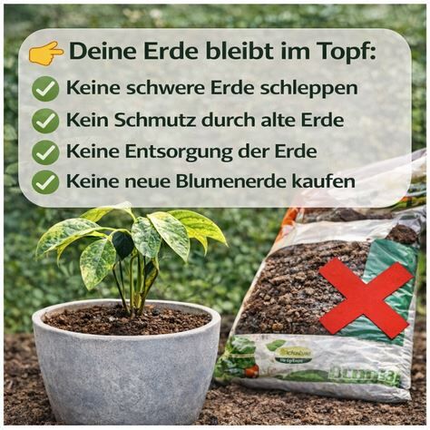 Erden refresher 350 ml – Bild 4