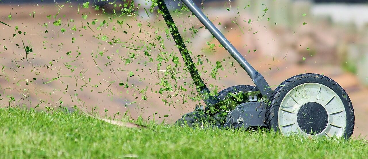 Rasen vor oder nach Regen mhen: Der beste Zeitpunkt