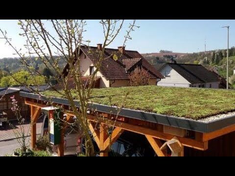 Moos auf dem Grndach entfernen