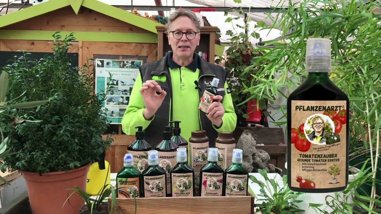 Blaukorn im Garten: Risiken und bessere Alternativen