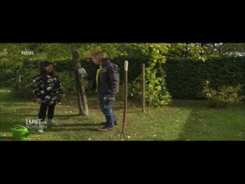 dünger topfpflanzen Hortensien Dünger von Flora Boost main image 0