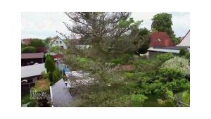 Aktuelle Gartentipps - biologischer Pflanzenschutz